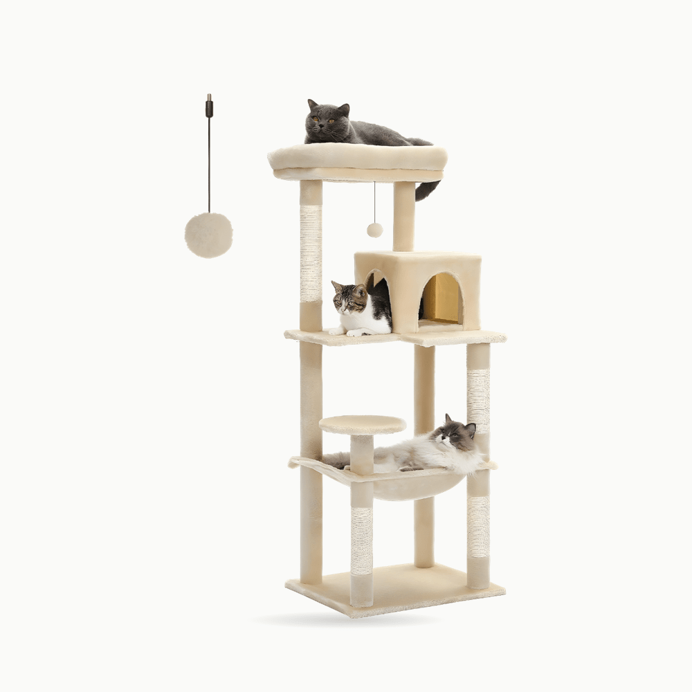 Arbre à chat | Le chat perché - Le Palais des Chats