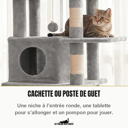 Niche basse à entrée ronde de l'arbre à chat Le Belvédère Royal, chat tigré allongé sur la tablette voisine, pompon suspendu et poteau griffoir en sisal