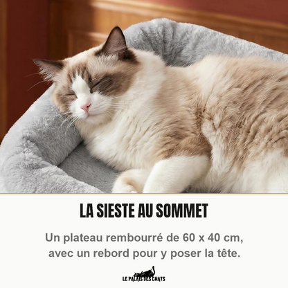 Chat ragdoll endormi sur le plateau du sommet rembourré de l'arbre à chat très haut Le Belvédère Royal, la tête posée sur le rebord en peluche