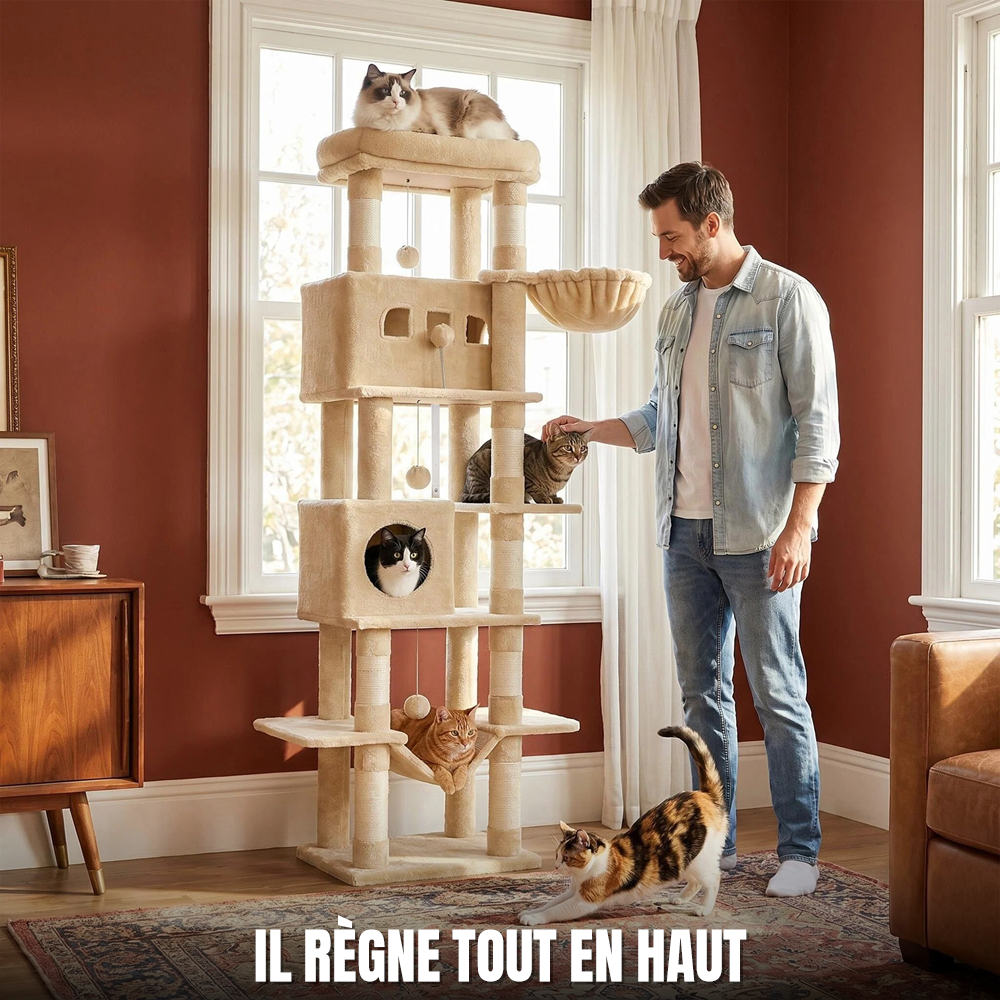 Arbre à chat très haut Le Belvédère Royal beige dans un salon lumineux, avec un ragdoll au sommet et des chats sur la tablette, dans la niche basse et dans le hamac