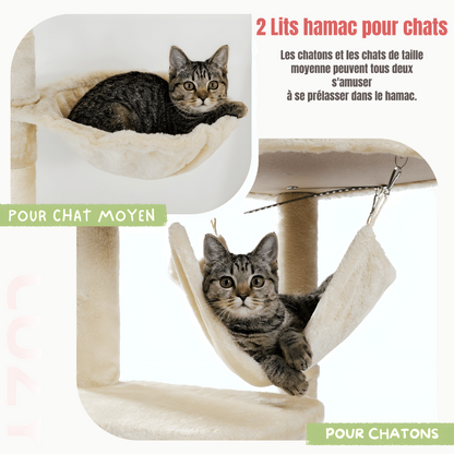Chat adulte et chaton tigrés installés dans les deux hamacs en peluche crème de l'arbre à chat