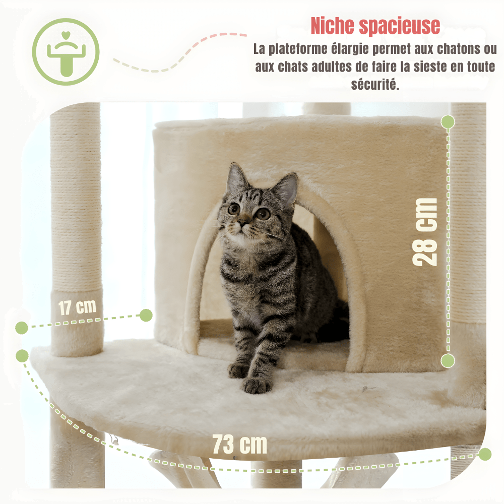 Chaton tigré devant la niche beige de l'arbre à chat, avec les cotes de la plateforme, 73 cm de large et 28 cm de haut