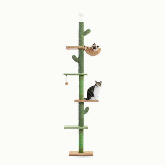 Arbre à chat sol-plafond en forme de cactus avec hamac, Le Cactus Majestueux, vert