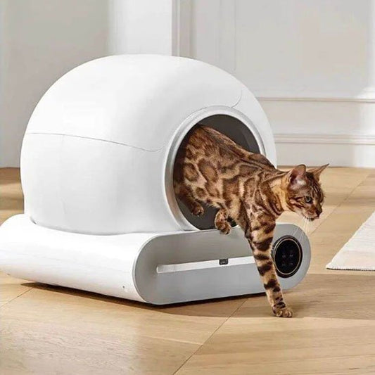 Bac à Litière Chat | Le Trône Connecté - Le Palais des Chats