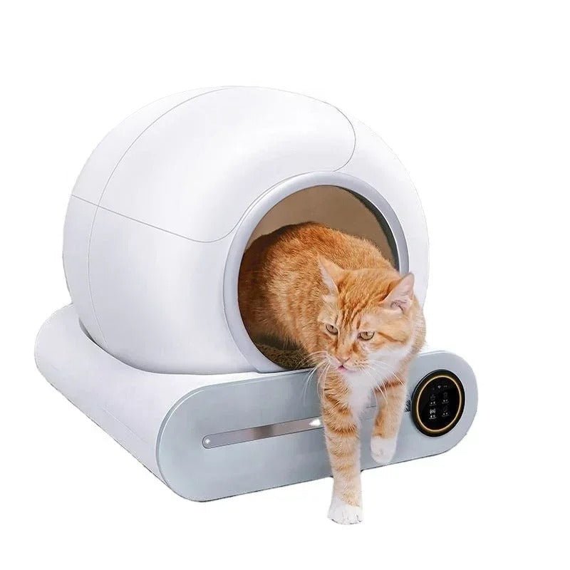 Bac à Litière Chat | Le Trône Connecté - Le Palais des Chats