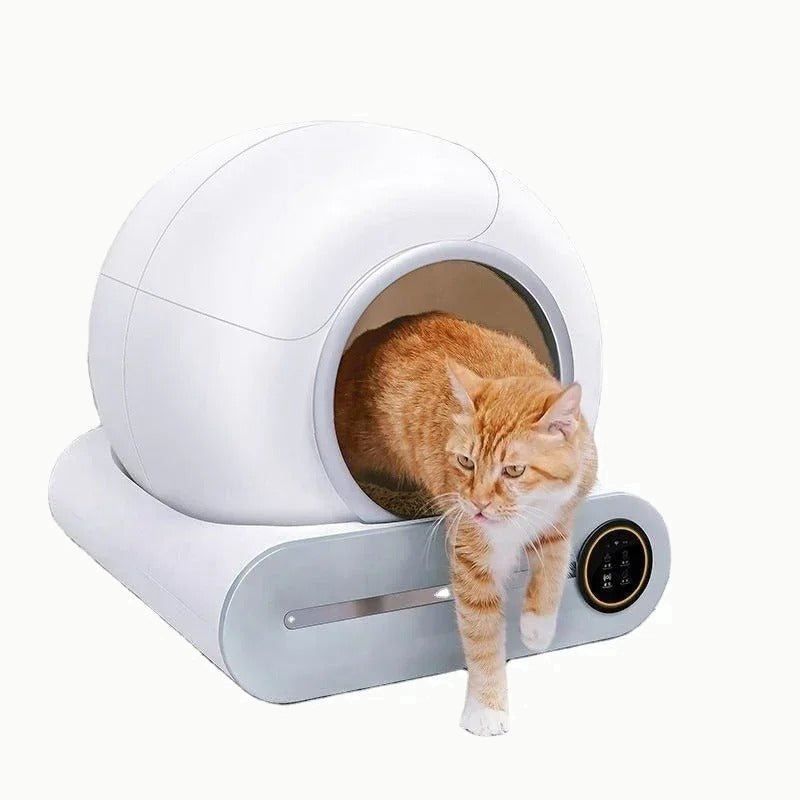 Chat roux et blanc sortant du bac à litière par la large ouverture ronde du dôme