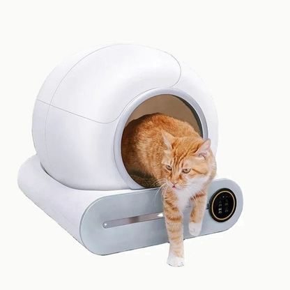 Chat roux et blanc sortant du bac à litière par la large ouverture ronde du dôme