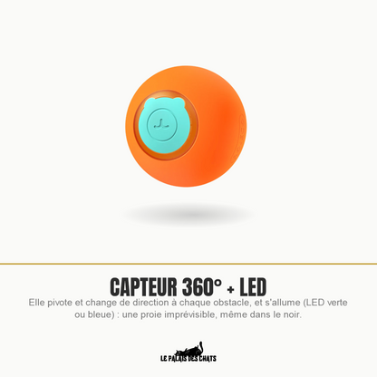 Balle interactive pour chat orange, capteur 360° et lumière LED