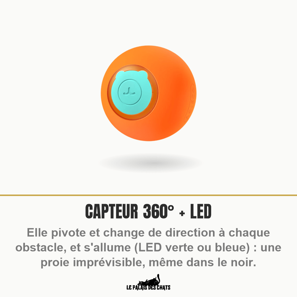 Balle rebondissante automatique pour chat, 3 modes & lumière LED, rechargeable USB | Rebond Royal - Le Palais des Chats