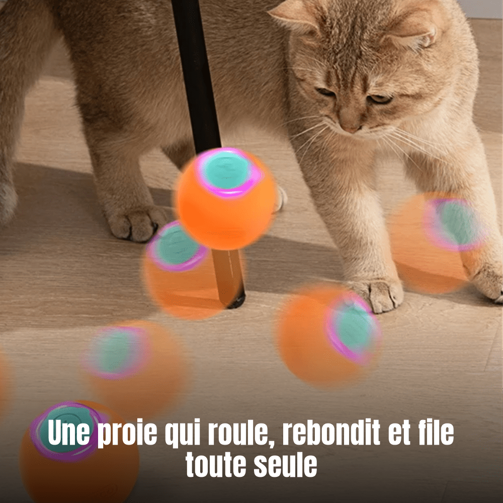 Balle rebondissante automatique pour chat, 3 modes & lumière LED, rechargeable USB | Rebond Royal - Le Palais des Chats
