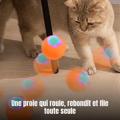 Balle rebondissante automatique pour chat, 3 modes & lumière LED, rechargeable USB | Rebond Royal - Le Palais des Chats