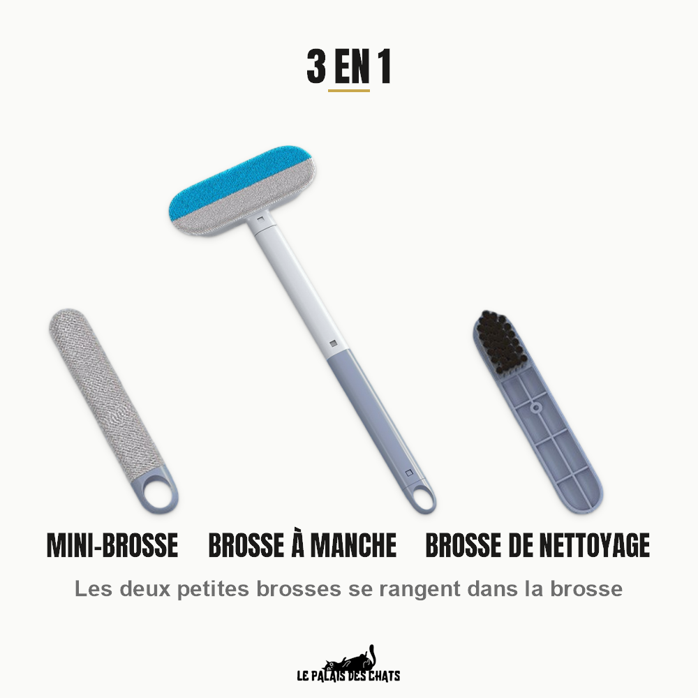 La brosse anti-poils Le Sceptre de Velours, sa mini-brosse et sa brosse de nettoyage, les deux petites brosses se rangeant dans la grande