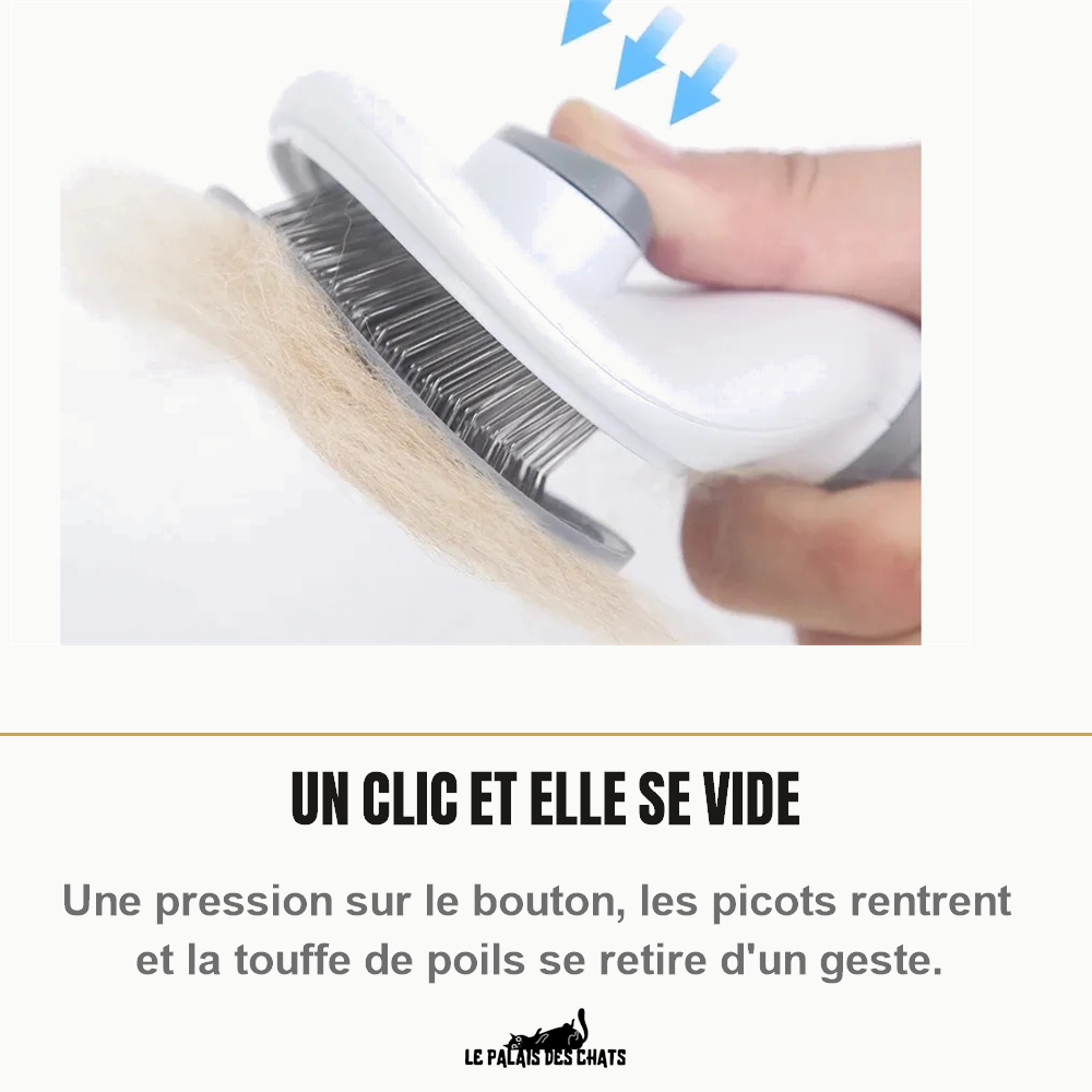 Bouton au dos de la tête qui rétracte les picots et libère la touffe de poils morts