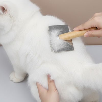 Brosse chat poil long | Nettoyage Royale - Le Palais des Chats