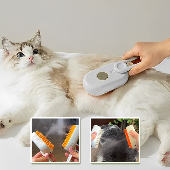 Chat allongé brossé avec la brosse vapeur, deux encarts montrant la vapeur diffusée et les poils récupérés