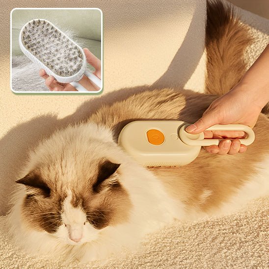 Chat à poils longs brossé sur un tapis, encart montrant les poils retenus dans les picots de la brosse