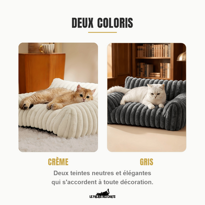 Les deux coloris disponibles côte à côte : un chat roux allongé sur le canapé crème à gauche, le même modèle en gris à droite