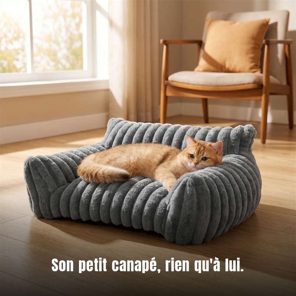 Chat installé confortablement sur son canapé côtelé Royal Sofa, calé contre le bolster enveloppant