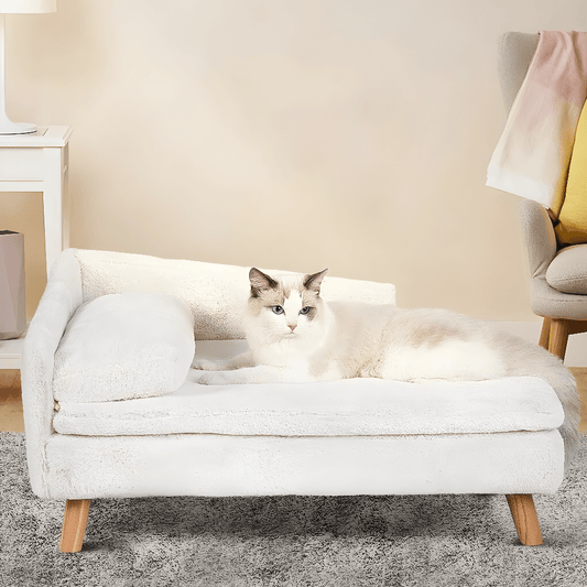 Canapé pour chat | Cat Deluxe - Le Palais des Chats