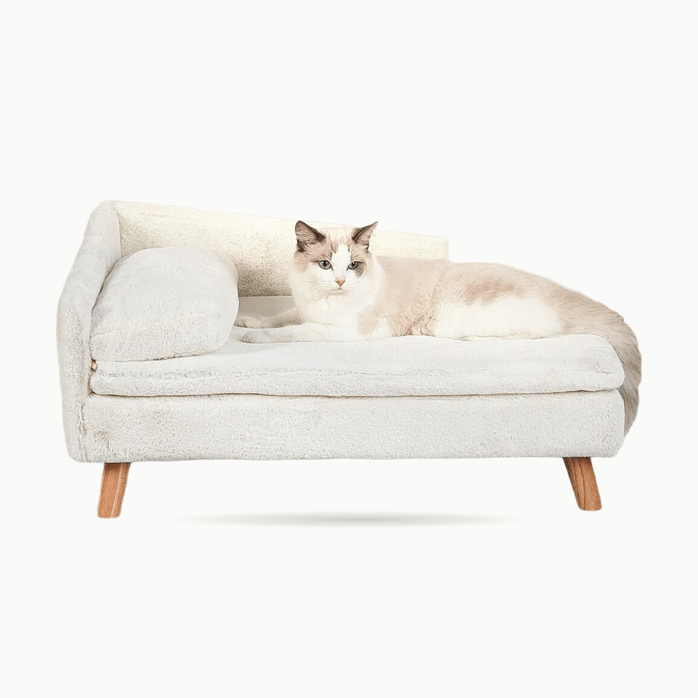 Canapé pour chat | Cat Deluxe - Le Palais des Chats