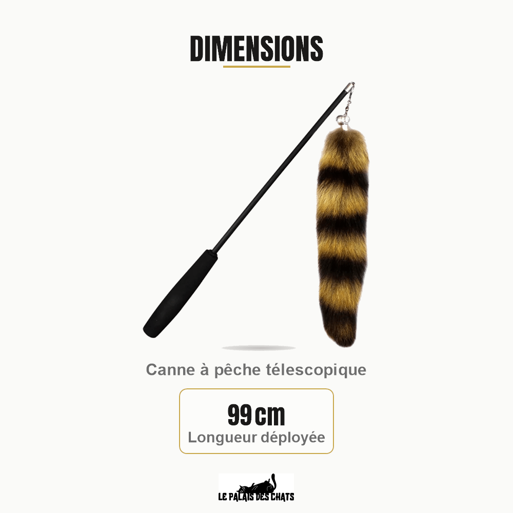 Dimensions de La Canne Royale : 99 cm Longueur déployée