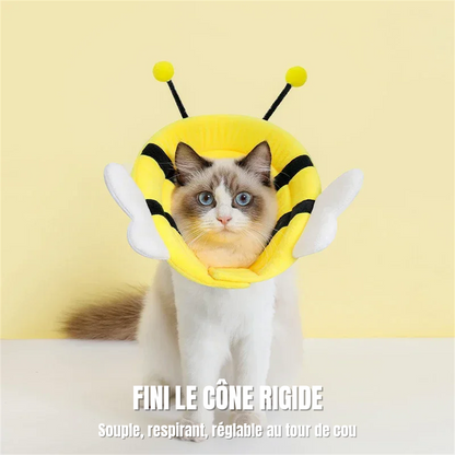 Chat portant la collerette souple modèle abeille