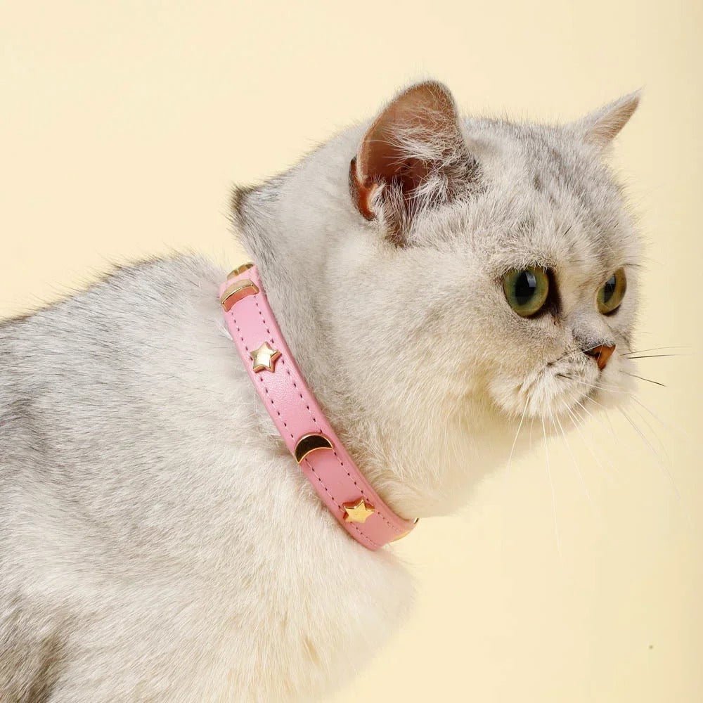 Chat gris clair portant au cou le collier Majesté Céleste coloris rose, à étoiles et lunes dorées, vu de profil