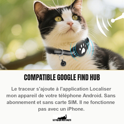 Chat portant le collier connecté, traceur compatible Google Find Hub sur téléphone Android uniquement
