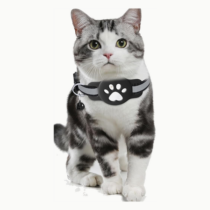 Chat tigrisé portant le collier connecté noir à bande réfléchissante avec le traceur en place
