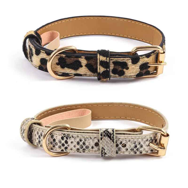 Collier pour chat | Élégance Féline - Le Palais des Chats