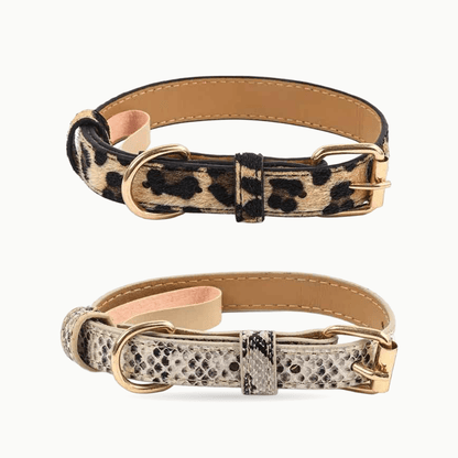 Collier pour chat | Élégance Féline - Le Palais des Chats