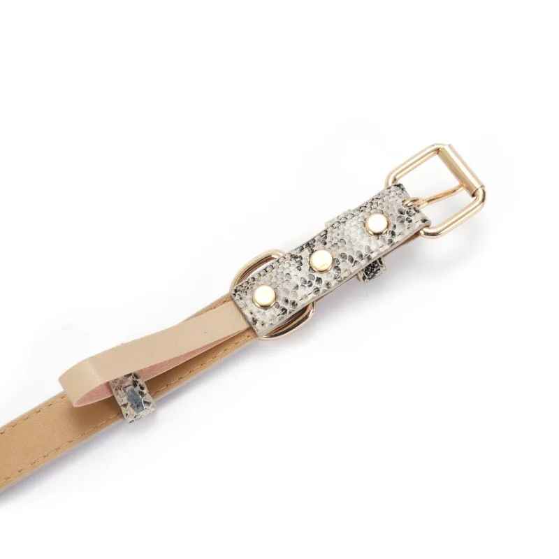 Collier pour chat | Élégance Féline - Le Palais des Chats