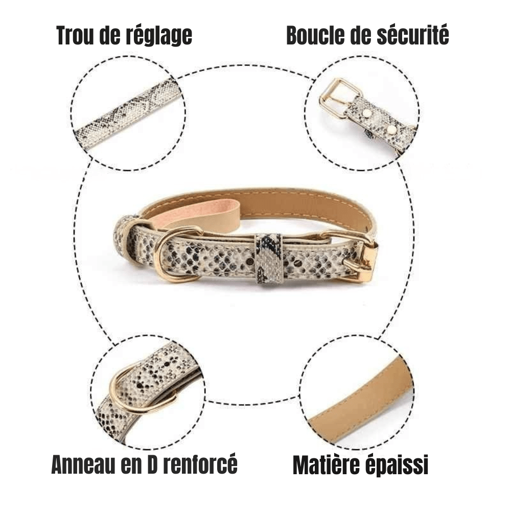 Collier pour chat | Élégance Féline - Le Palais des Chats
