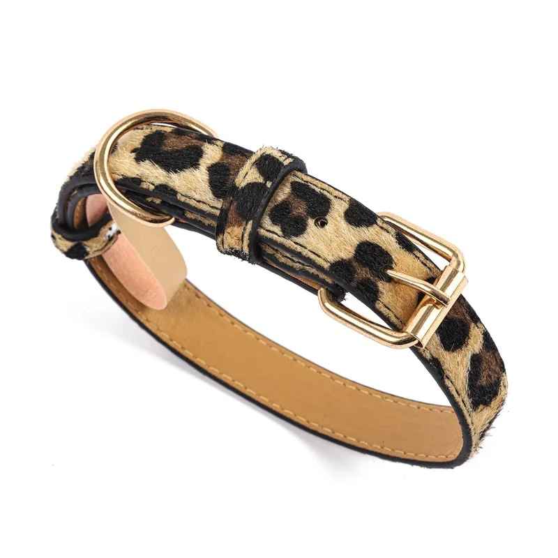 Collier pour chat | Élégance Féline - Le Palais des Chats