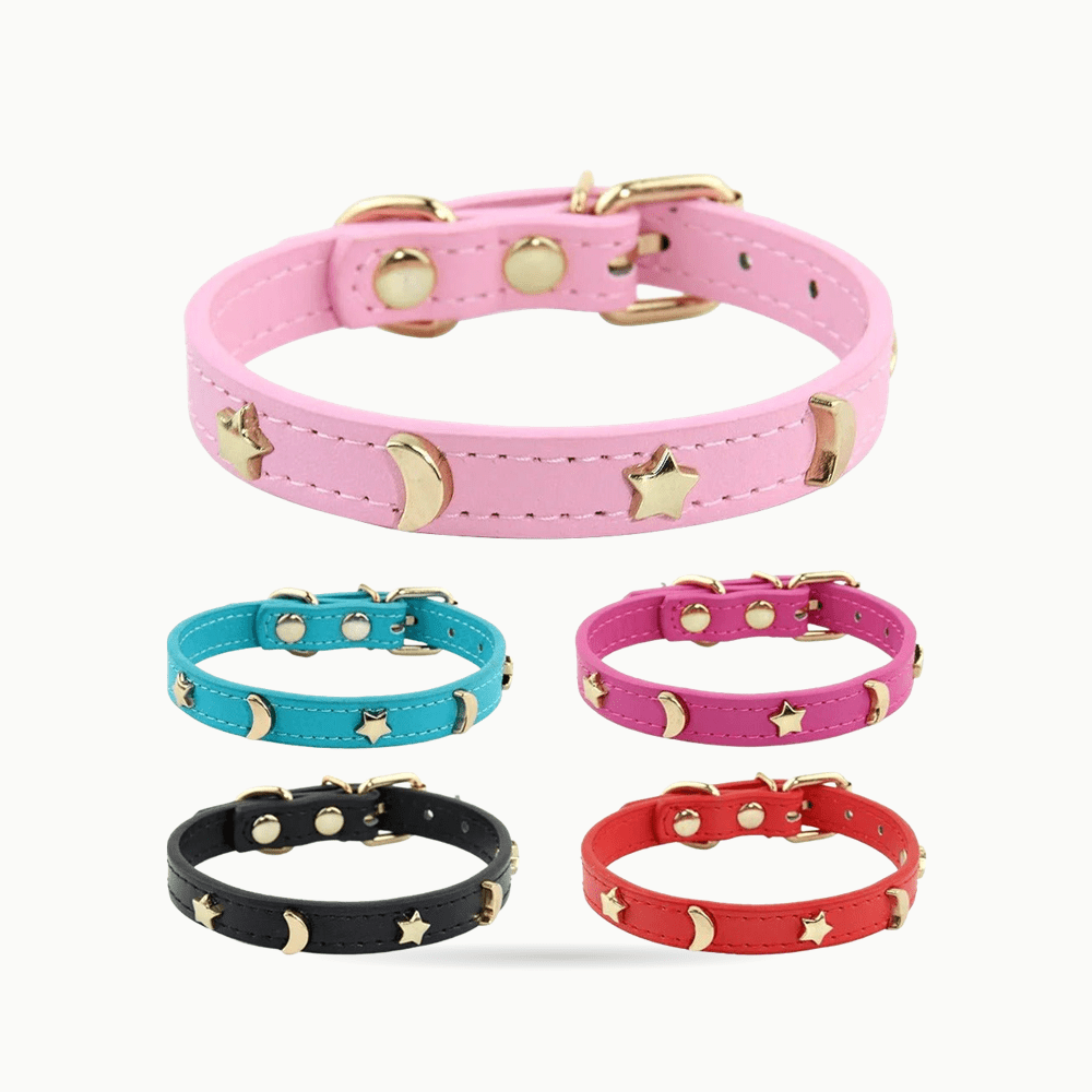 Collier pour chat | Majesté Céleste - Le Palais des Chats