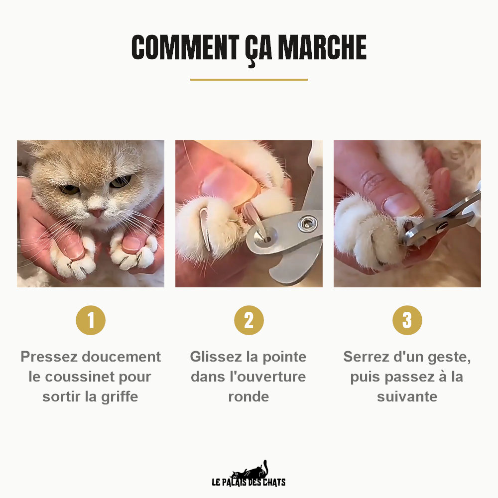 Comment couper les griffes de son chat avec des ciseaux coupe-ongles à ouverture ronde, en trois étapes