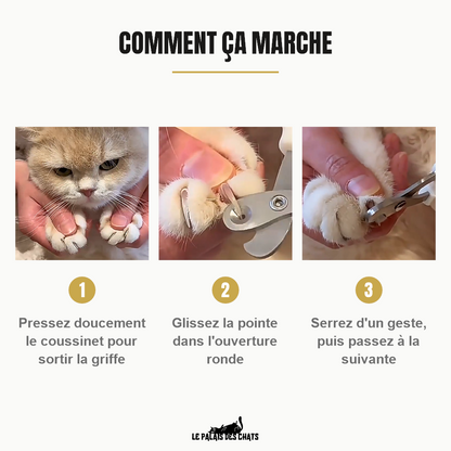 Comment couper les griffes de son chat avec des ciseaux coupe-ongles à ouverture ronde, en trois étapes