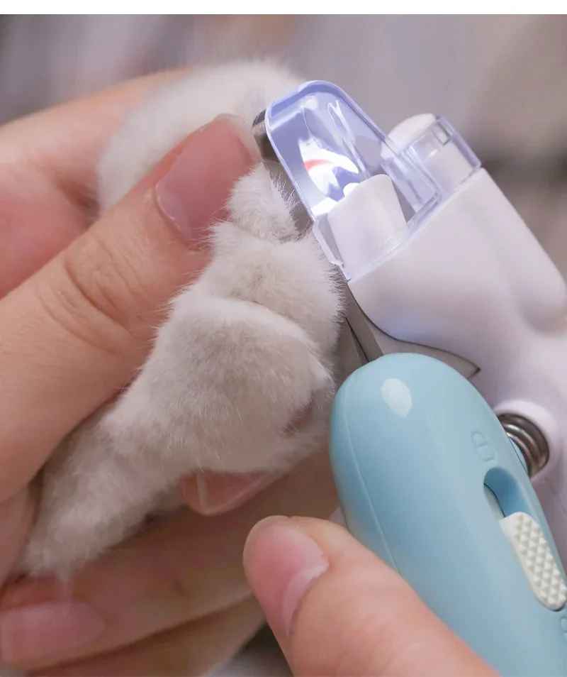 Coupe griffe chat | Griffe Royale - Le Palais des Chats
