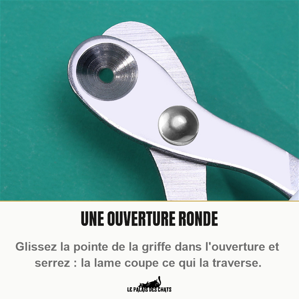 Ouverture ronde de la lame en acier inoxydable des ciseaux coupe-ongles pour chat