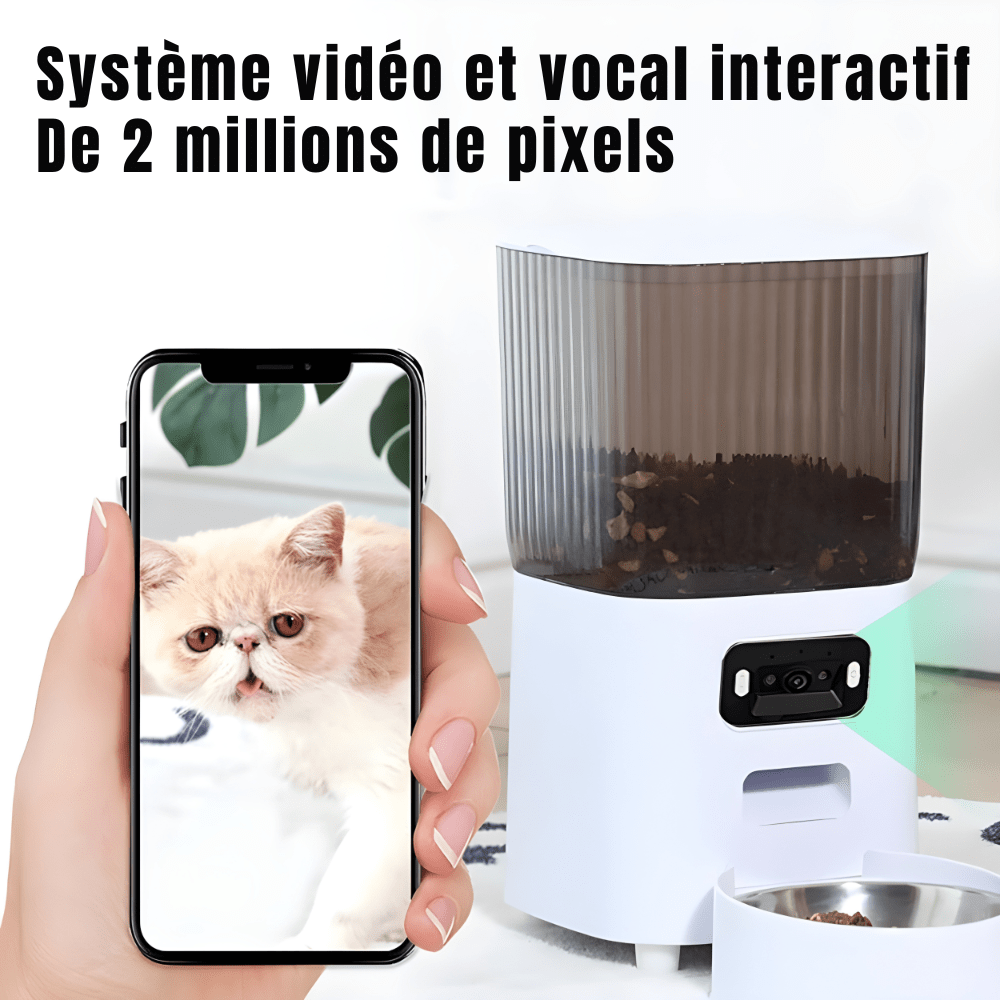 Distributeur automatique de croquettes pour chat WiFi avec caméra | Croq'Majesté - Le Palais des Chats