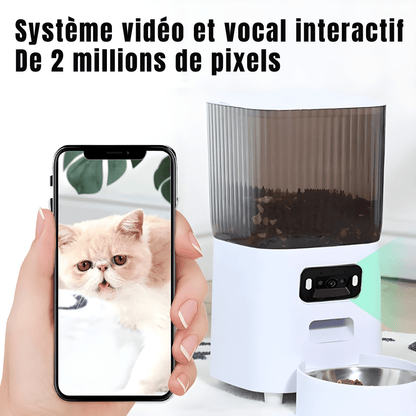 Distributeur automatique de croquettes pour chat WiFi avec caméra | Croq'Majesté - Le Palais des Chats