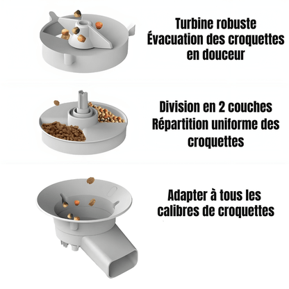 Distributeur automatique de croquettes pour chat WiFi avec caméra | Croq'Majesté - Le Palais des Chats