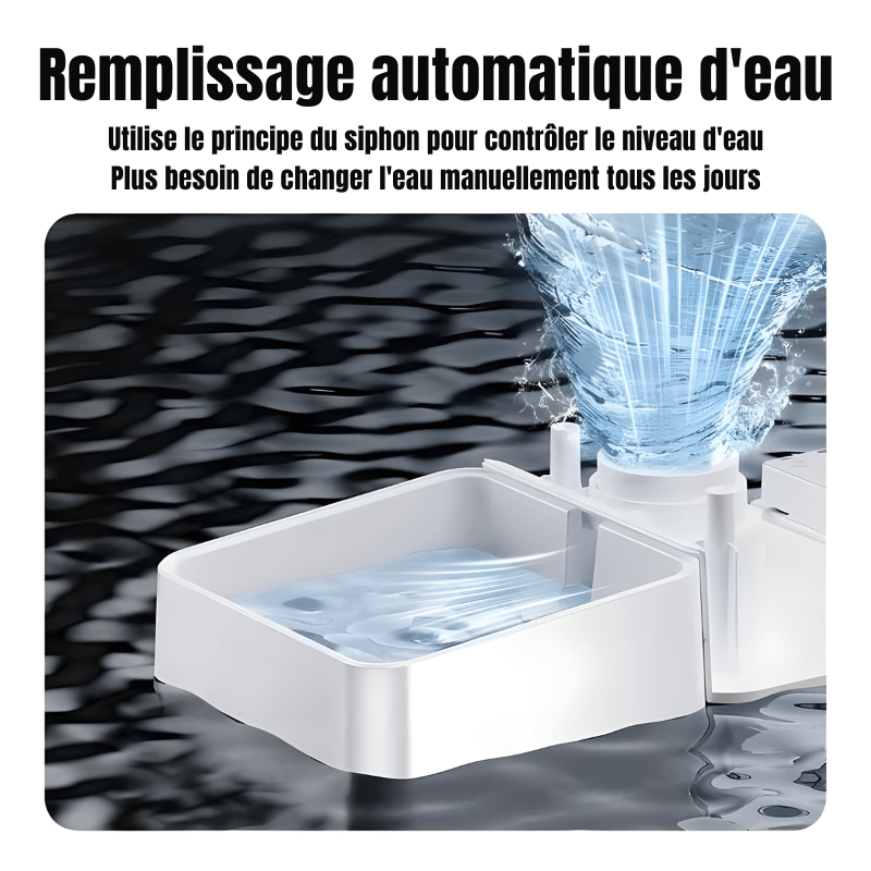 Distributeur de croquettes pour chat WIFI | Le Banquet Royal - Le Palais des Chats
