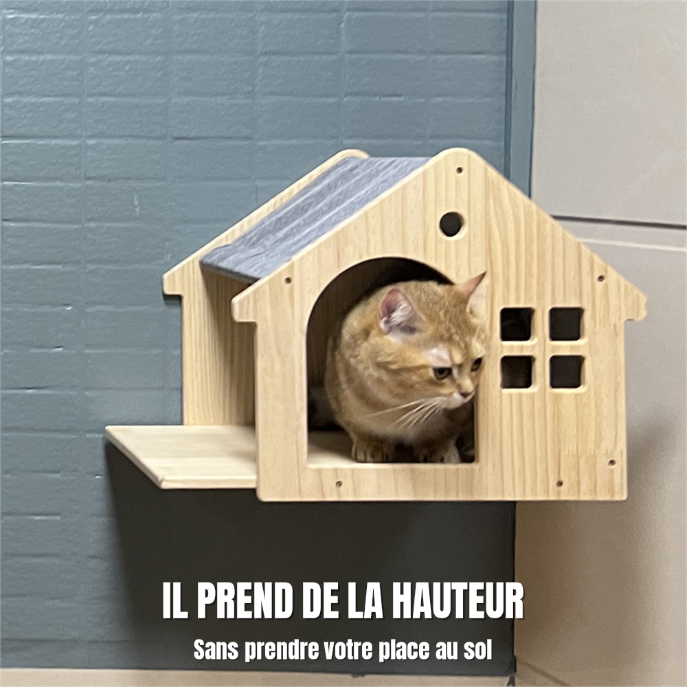 Chat roux installé dans la maison murale chalet en bois fixée au mur