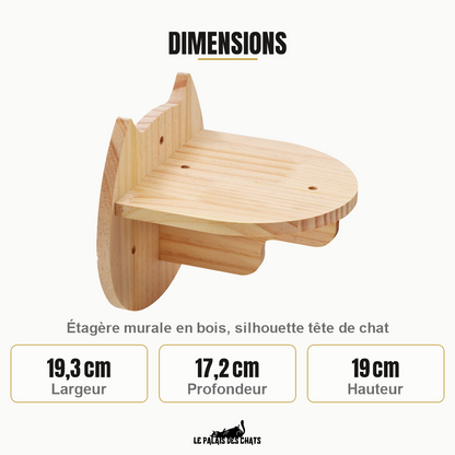Dimensions de l'étagère murale pour chat : 19,3 cm de large, 17,2 cm de profondeur, 19 cm de haut