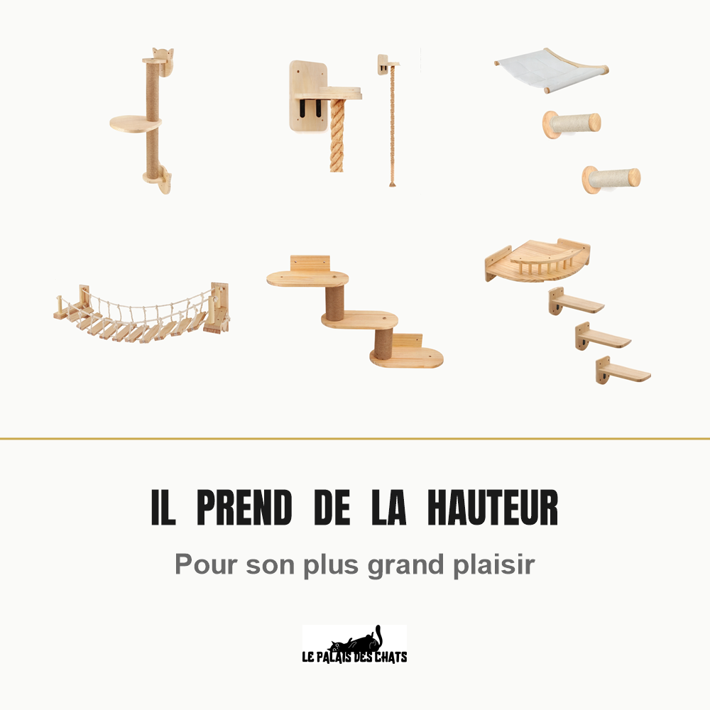 Griffoir, corde à grimper, hamac, pont et plateformes muraux pour que le chat prenne de la hauteur