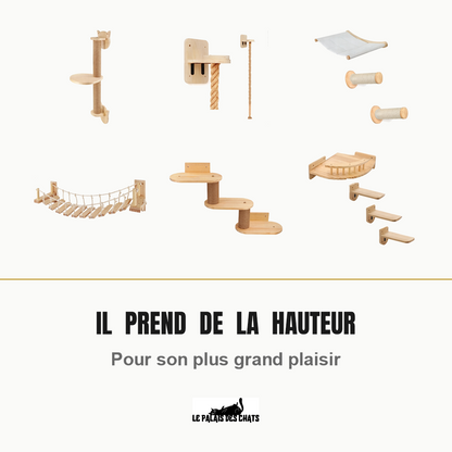 Griffoir, corde à grimper, hamac, pont et plateformes muraux pour que le chat prenne de la hauteur