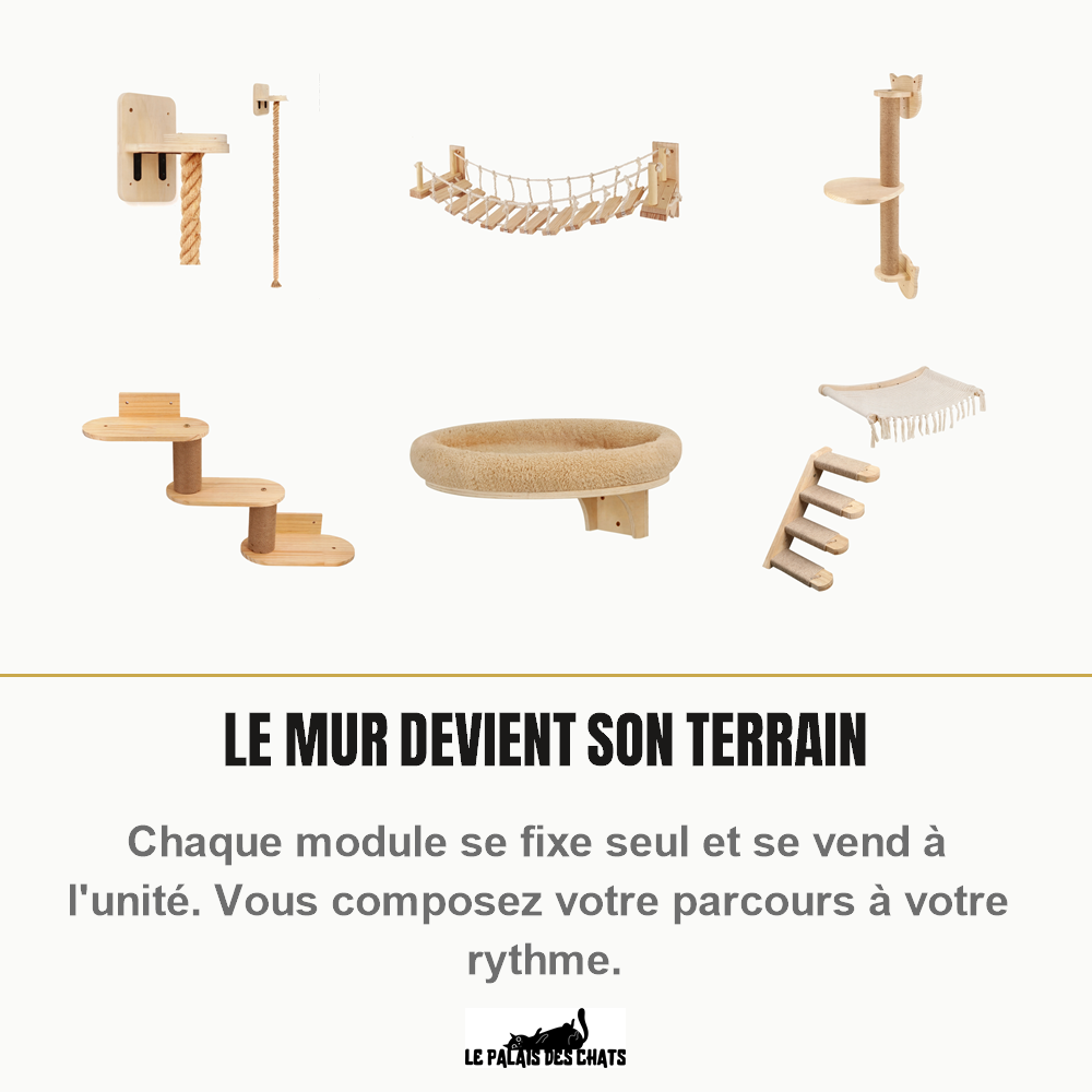 Modules d'étagères murales pour chat en bois brut, un parcours à composer module par module