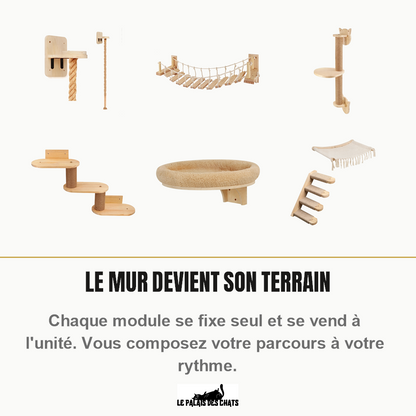 Modules d'étagères murales pour chat en bois brut, un parcours à composer module par module