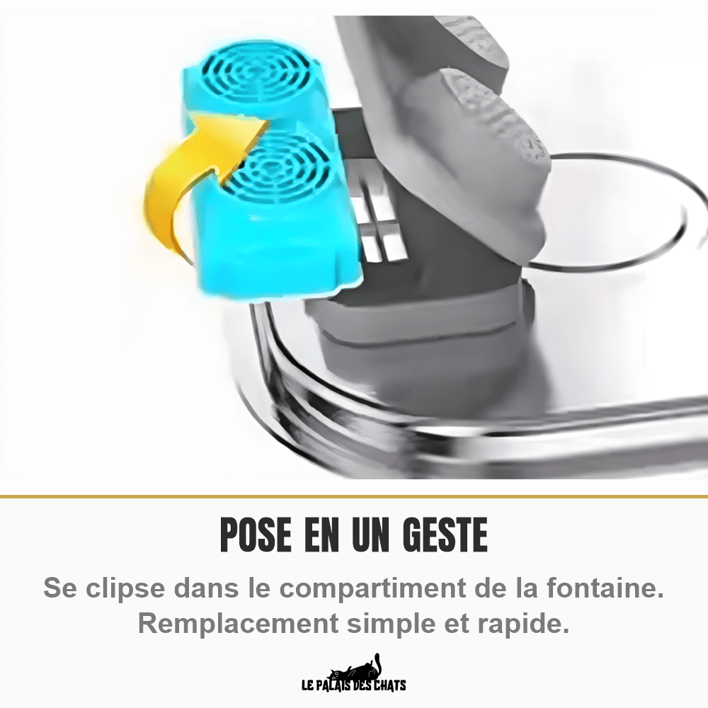 Filtres à charbon actif pour fontaine 3,2 L (compatible La Source Cristalline et Impériale) | Le Cœur Cristallin - Le Palais des Chats